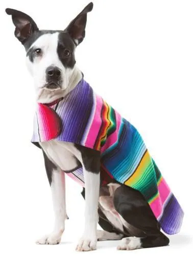 BAP Serape Dog Poncho