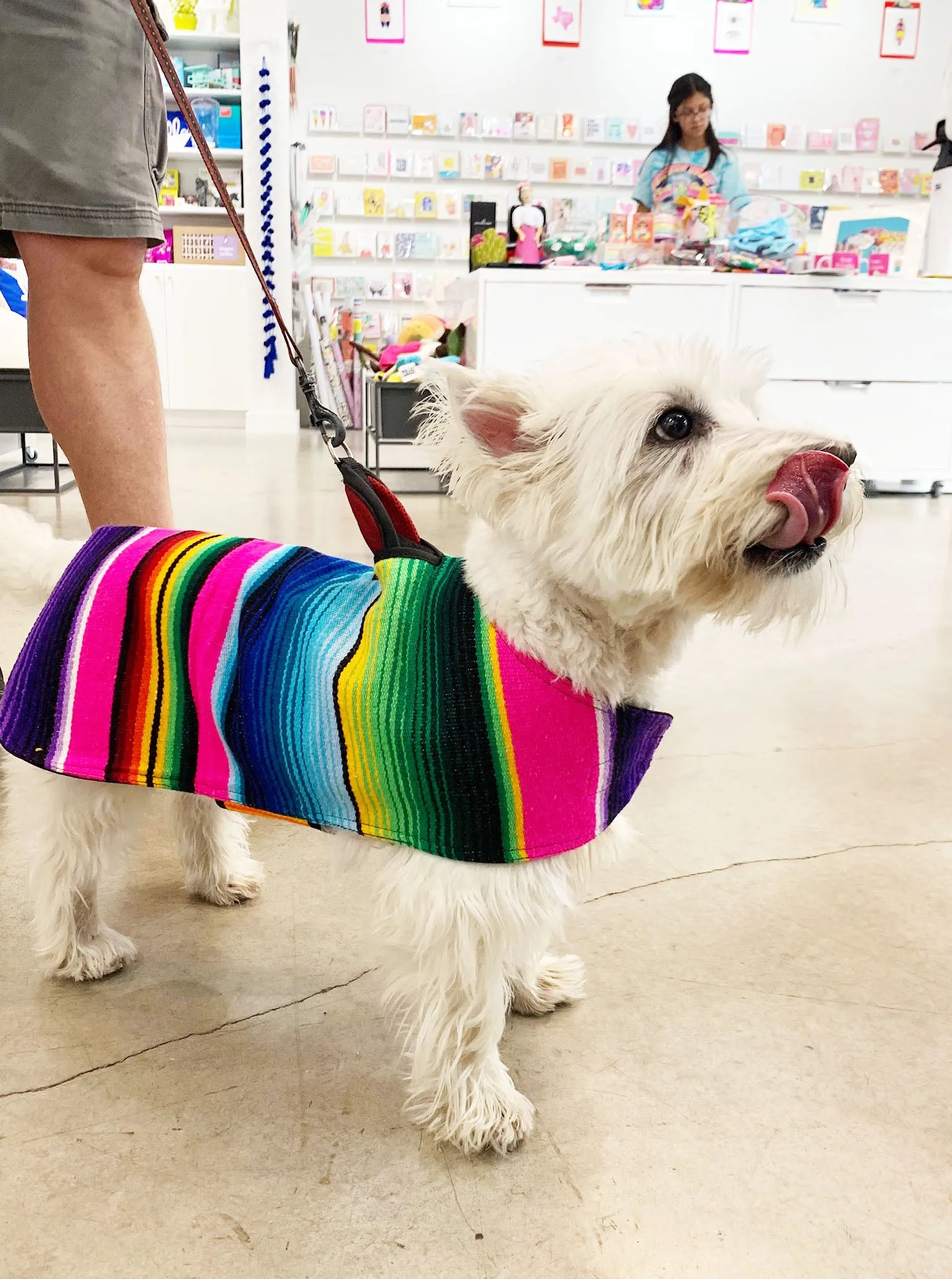 BAP Serape Dog Poncho