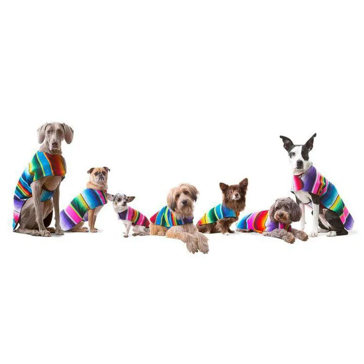 BAP Serape Dog Poncho