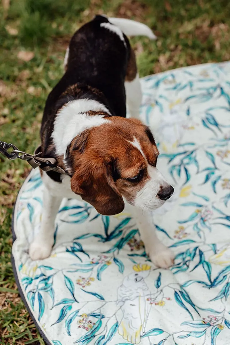 Cockatoo Baby Play Mat