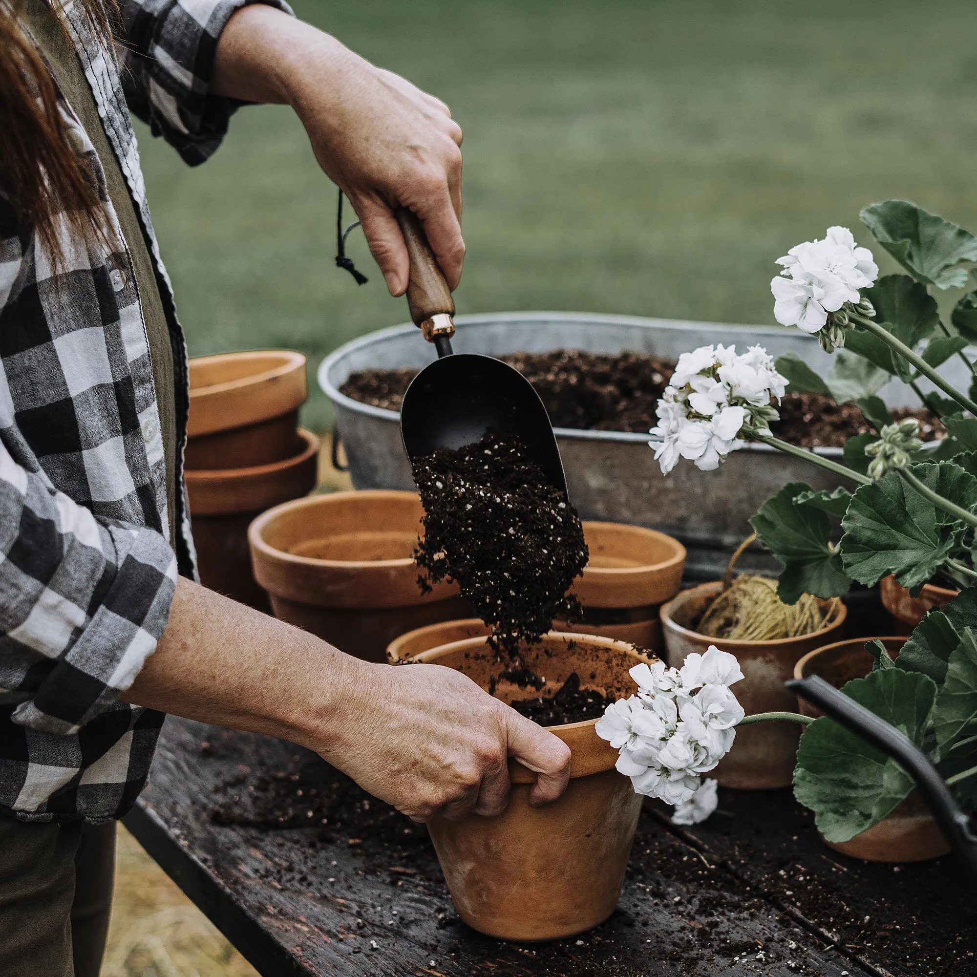 Garden Scoop