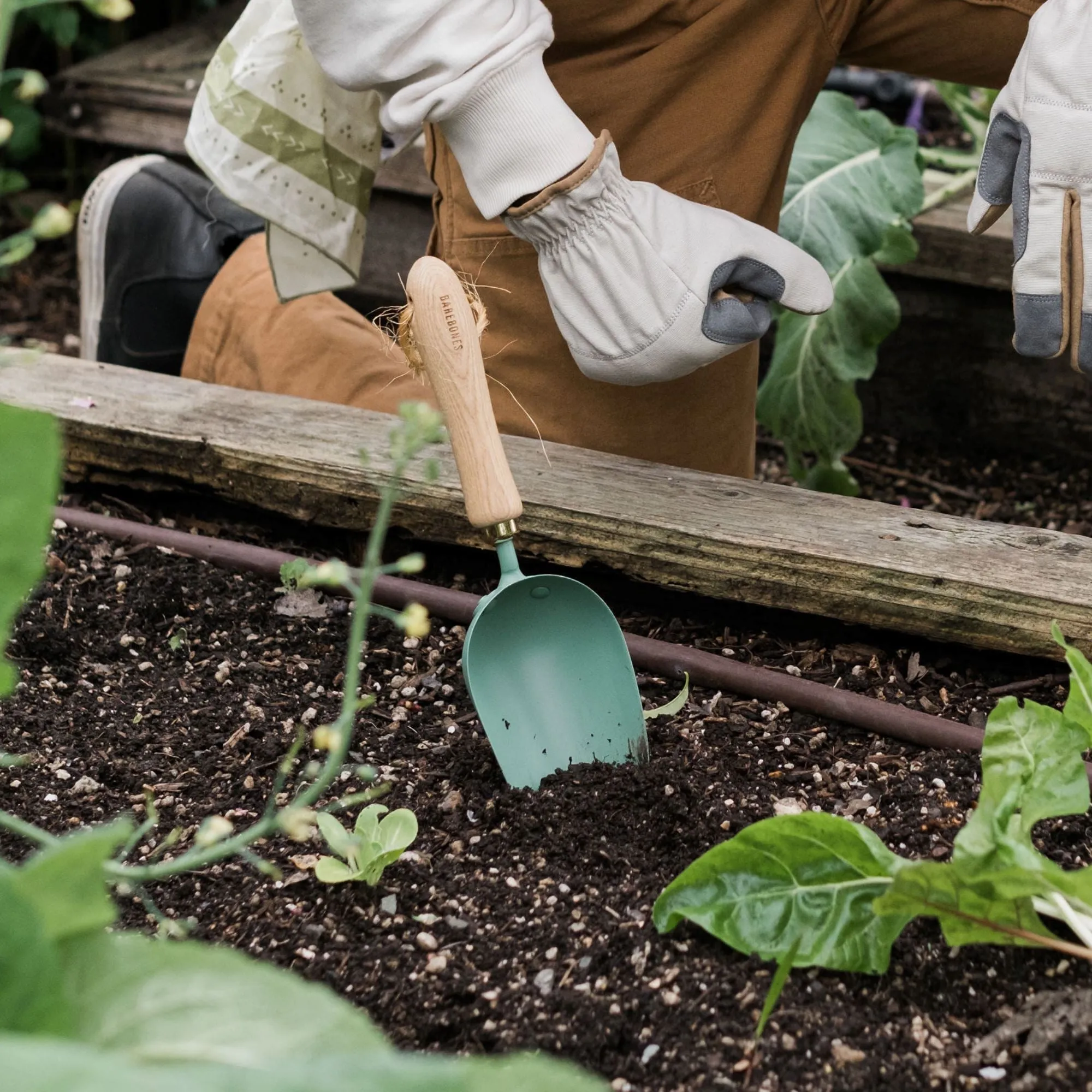 Garden Scoop