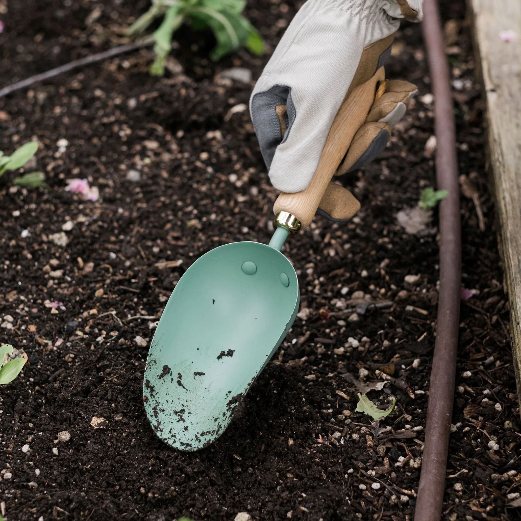 Garden Scoop