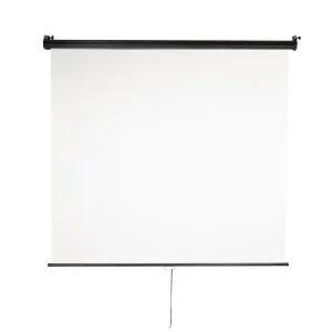 Strobepro Pull-Down Screen (White)