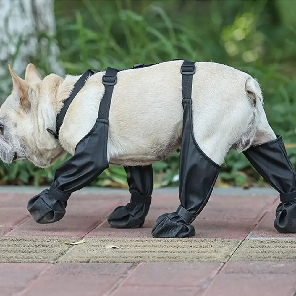 Widdle Waders for Dogs