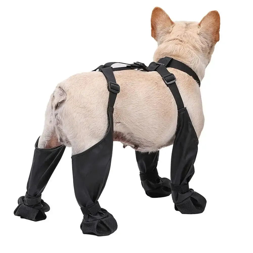 Widdle Waders for Dogs